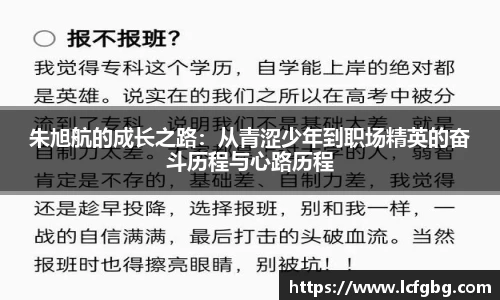 jn体育官网