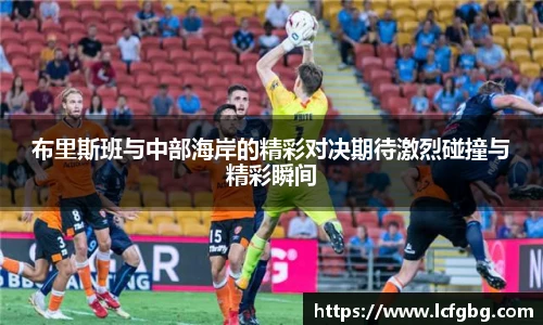 中欧电竞网址